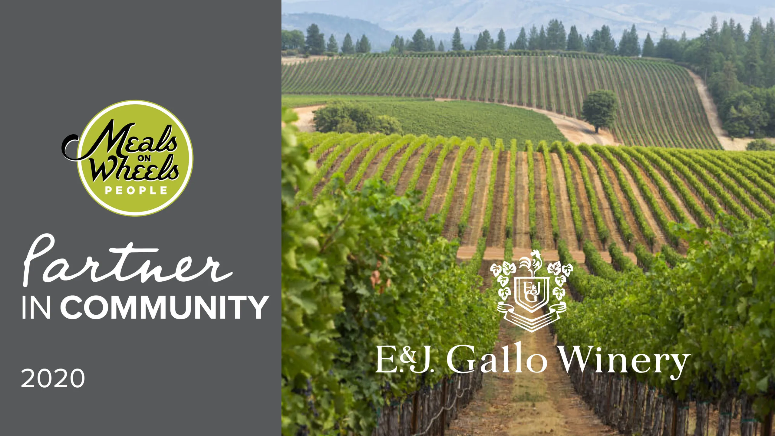 E&J Gallo Winery
