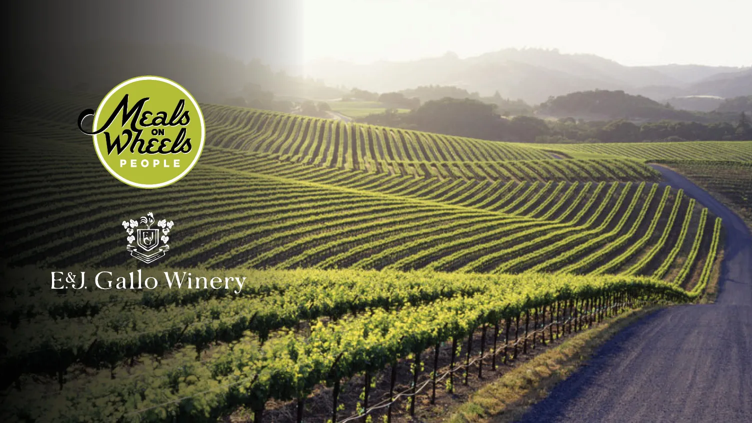 E & J Gallo Wines